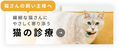 猫さんの飼い主様へ：繊細な猫さんにやさしく寄り添う猫の診療