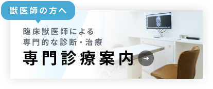 獣医師の方へ：「専門診療案内」臨床獣医師による専門的な診断・治療