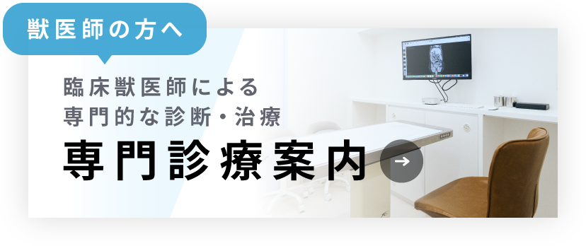獣医師の方へ：「専門診療案内」臨床獣医師による専門的な診断・治療
