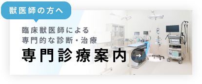 獣医師の方へ：「専門診療案内」臨床獣医師による専門的な診断・治療