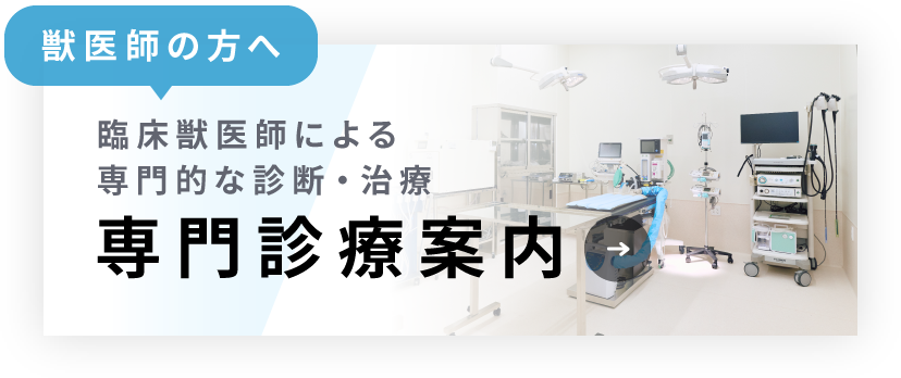 獣医師の方へ：「専門診療案内」臨床獣医師による専門的な診断・治療