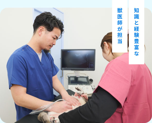 知識と経験豊富な接触は最小限に