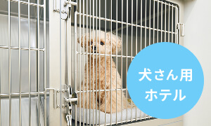犬さん用ホテル