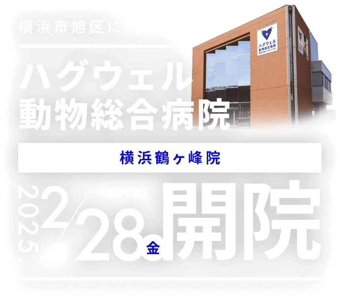 横浜市旭区にハグウェル動物総合病院が2025年1月に開院