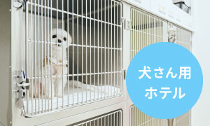 犬さん用ホテル