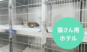 猫さん用ホテル